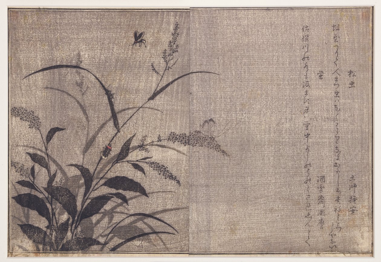 Kriket a světlušky, 1788 (dřevěný blok) od Kitagawa Utamaro