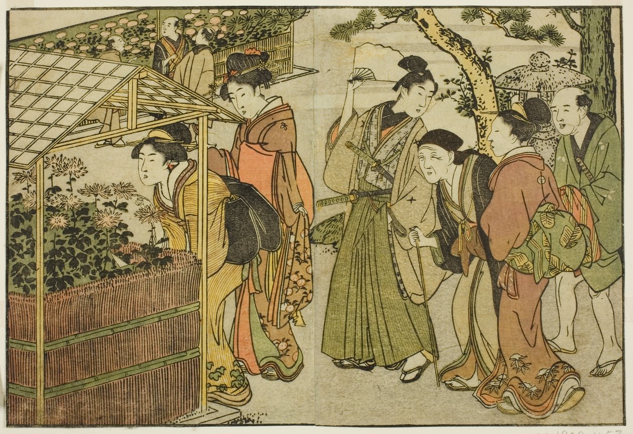 Zobrazení chryzantém, z ilustrované knihy "Obrázková kniha: Květiny čtyř ročních období (Ehon shiki no hana)", sv. 2 od Kitagawa Utamaro