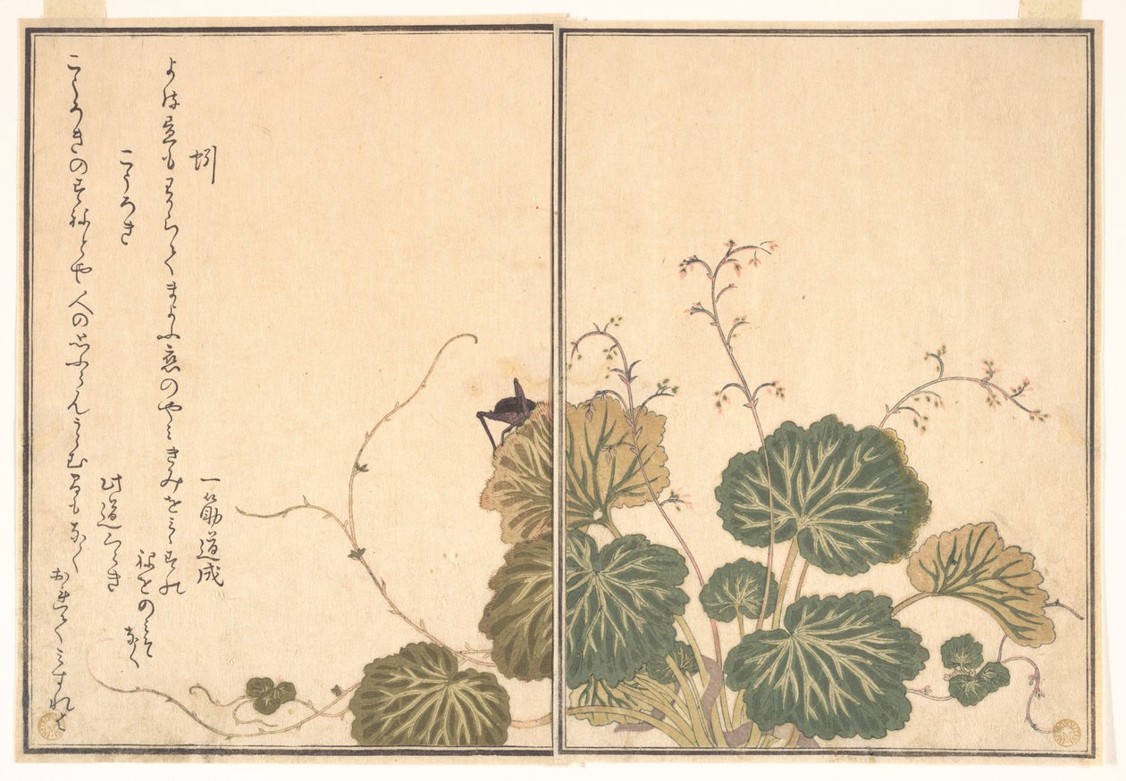 Žížala (Mimizu); cvrček (Kōrogi), z Obrázkové knihy lezoucích tvorů (Ehon mushi erami) od Kitagawa Utamaro