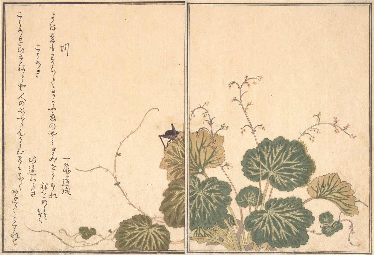 Žížala Mimizu, Kriket Korogi..., 1788. od Kitagawa Utamaro