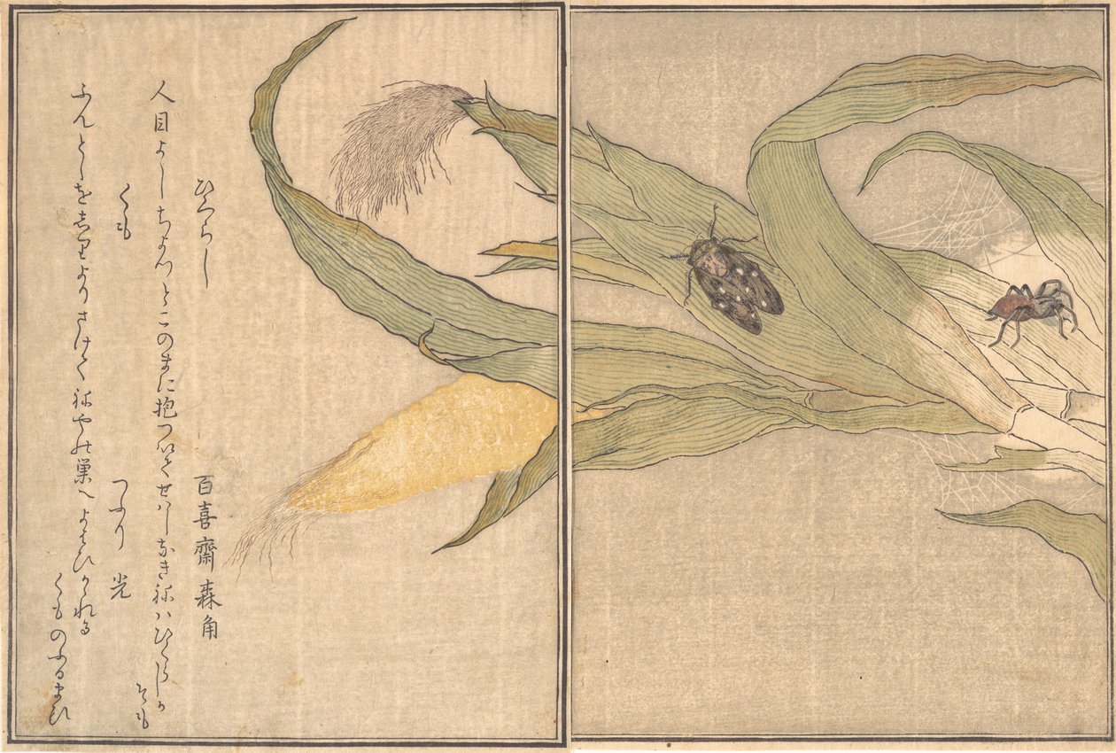 Obrázek Ve lidé g Zubní, Higurashi, S den r, Mraky. .. .. , 1788. od Kitagawa Utamaro