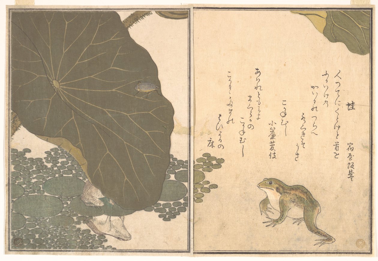 Žába (Kaeru); zlatý brouk (Kogane mushi), z Obrázkové knihy lezoucích tvorů (Ehon mushi erami) od Kitagawa Utamaro