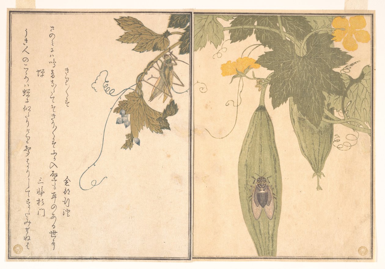 Kobylka (Kirigirisu); cikáda (Semi), z Obrázkové knihy lezoucích tvorů (Ehon mushi erami) od Kitagawa Utamaro