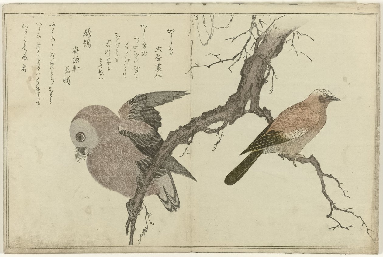 Jay a sova od Kitagawa Utamaro