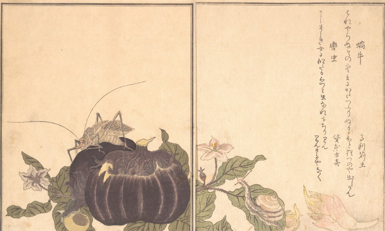 V d S, šneci, účty t tyjid kutsuwamushi. .. .. , 1788. od Kitagawa Utamaro