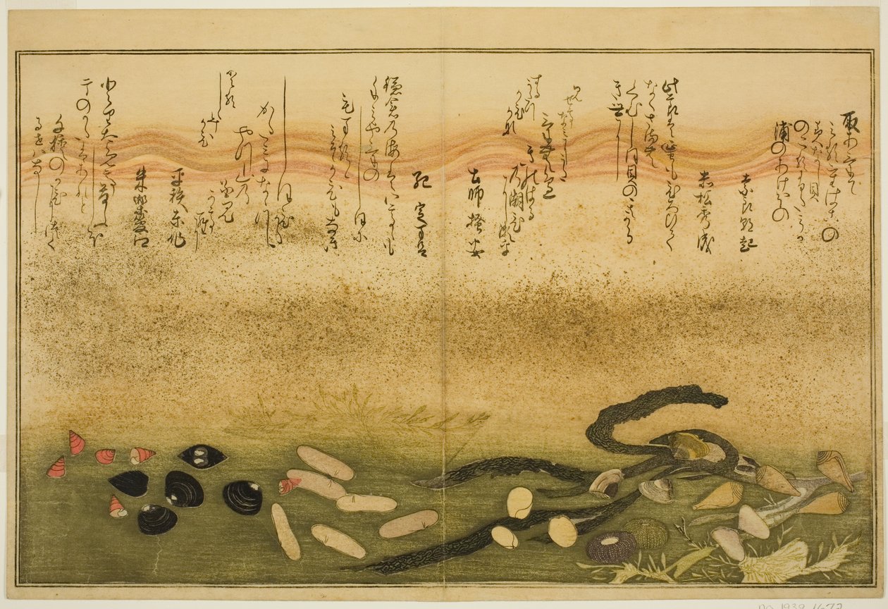 Minashi venku, sůl venku, plíseň dvě venku, miso venku, Jimmy venku, nápad d chigusa venku, z tee st latte bracts of the time)“ od Kitagawa Utamaro