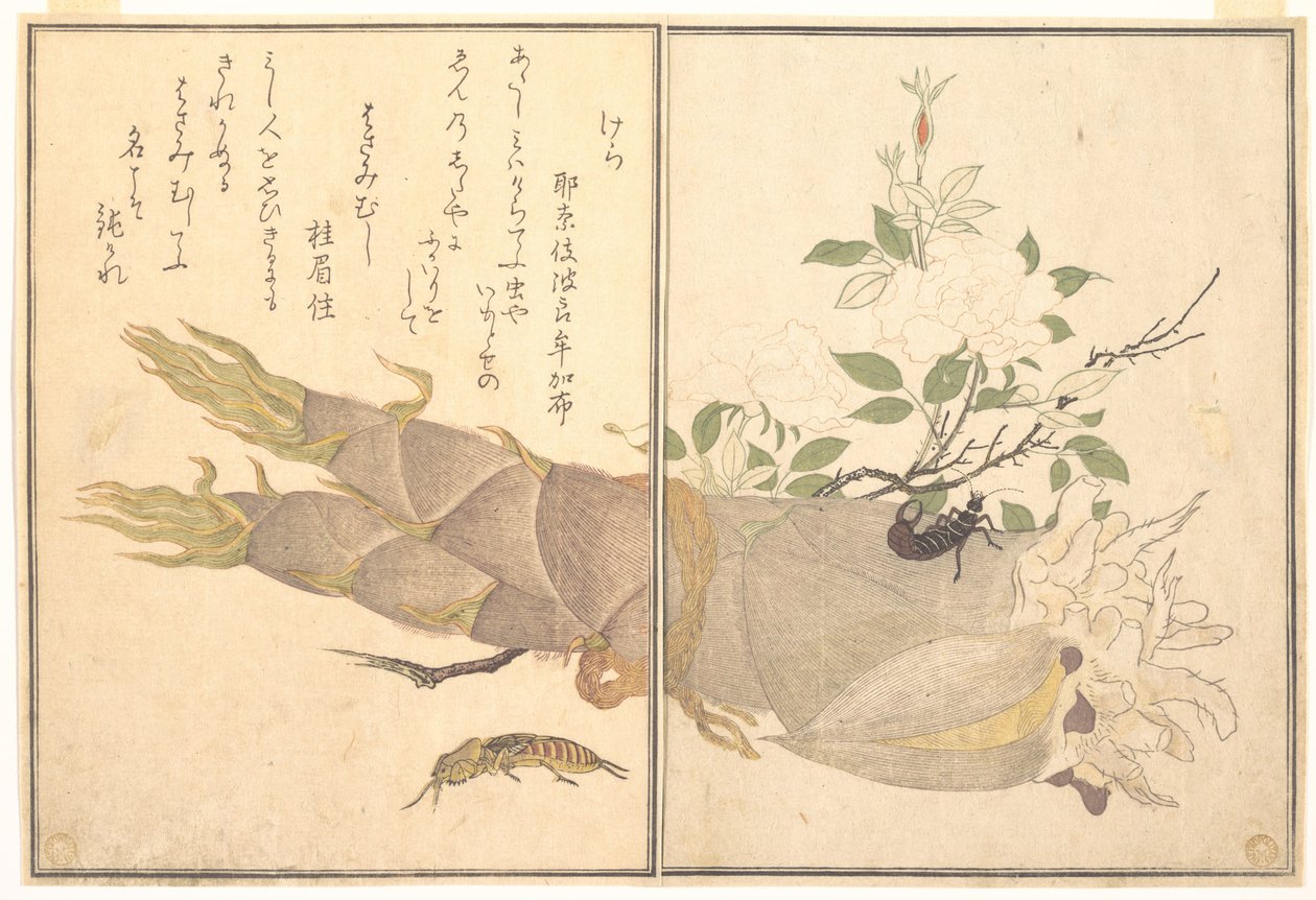 Krtek (Kera); Škvor (Hasami-mushi), z obrázkové knihy o lezoucích tvorech (Ehon mushi erami) od Kitagawa Utamaro