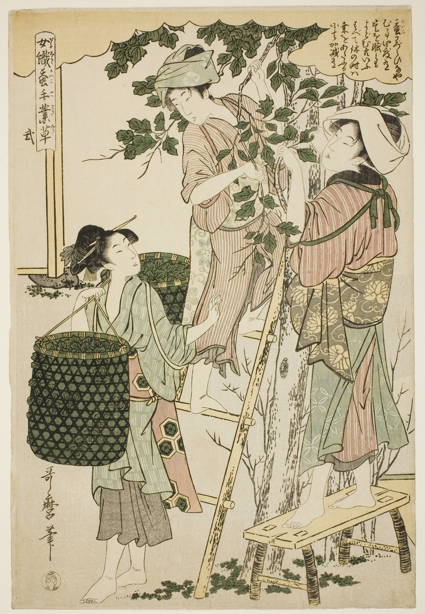 č. 2 (ni), ze série "Ženy angažované v serikultuře (Joshoku kaiko tewaza-gusa)" od Kitagawa Utamaro