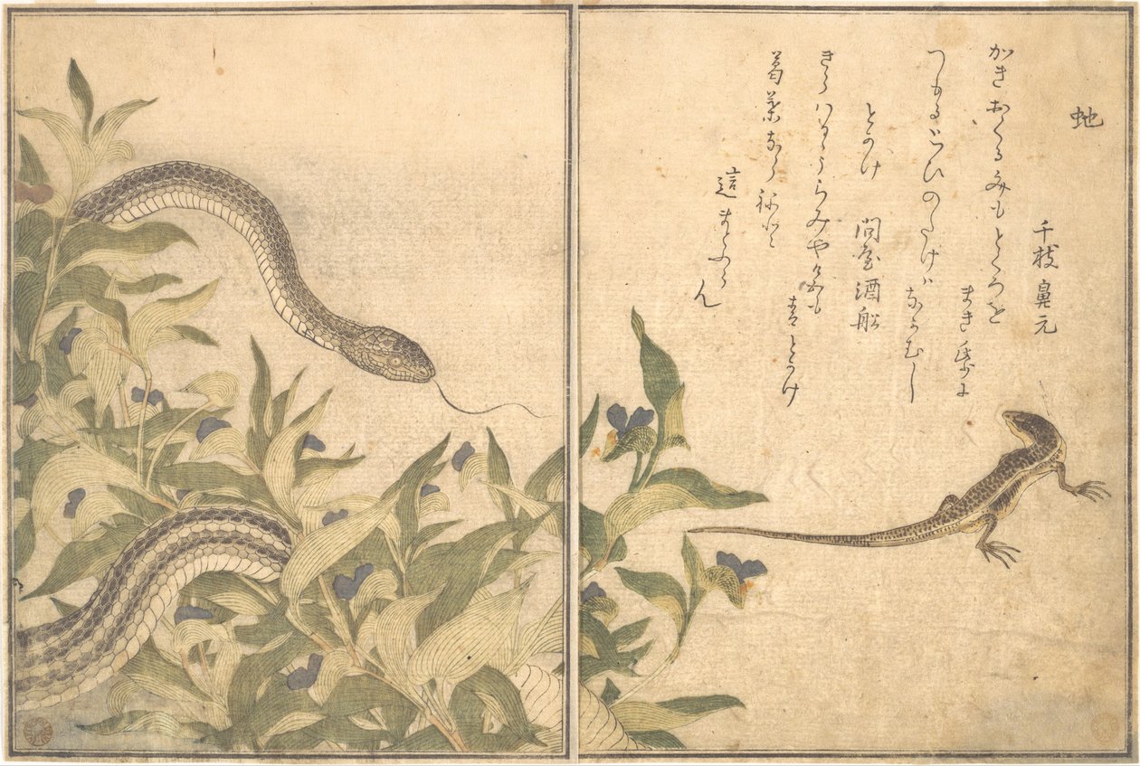 Krysař had (Hebi); ještěrka nebo scink (Tokage), z Obrázkové knihy lezoucích tvorů (Ehon mushi erami) od Kitagawa Utamaro