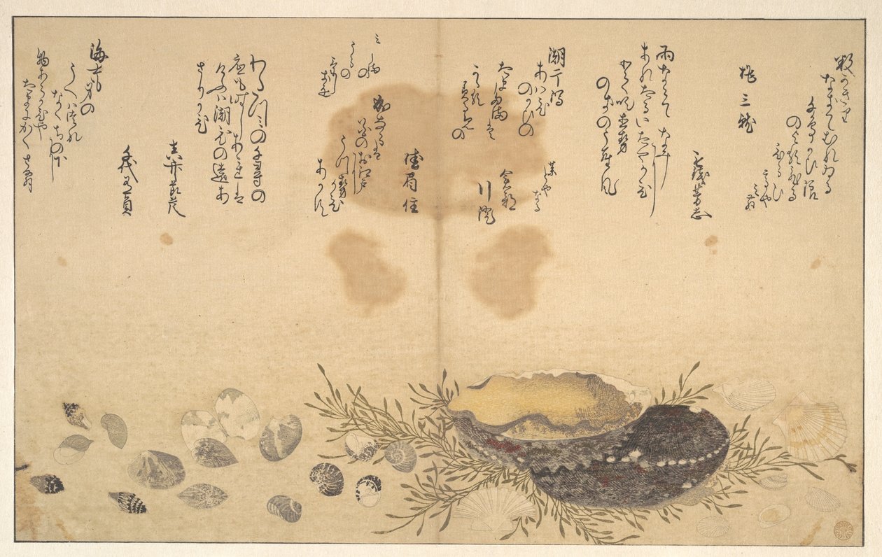 Mušle pod vodou od Kitagawa Utamaro