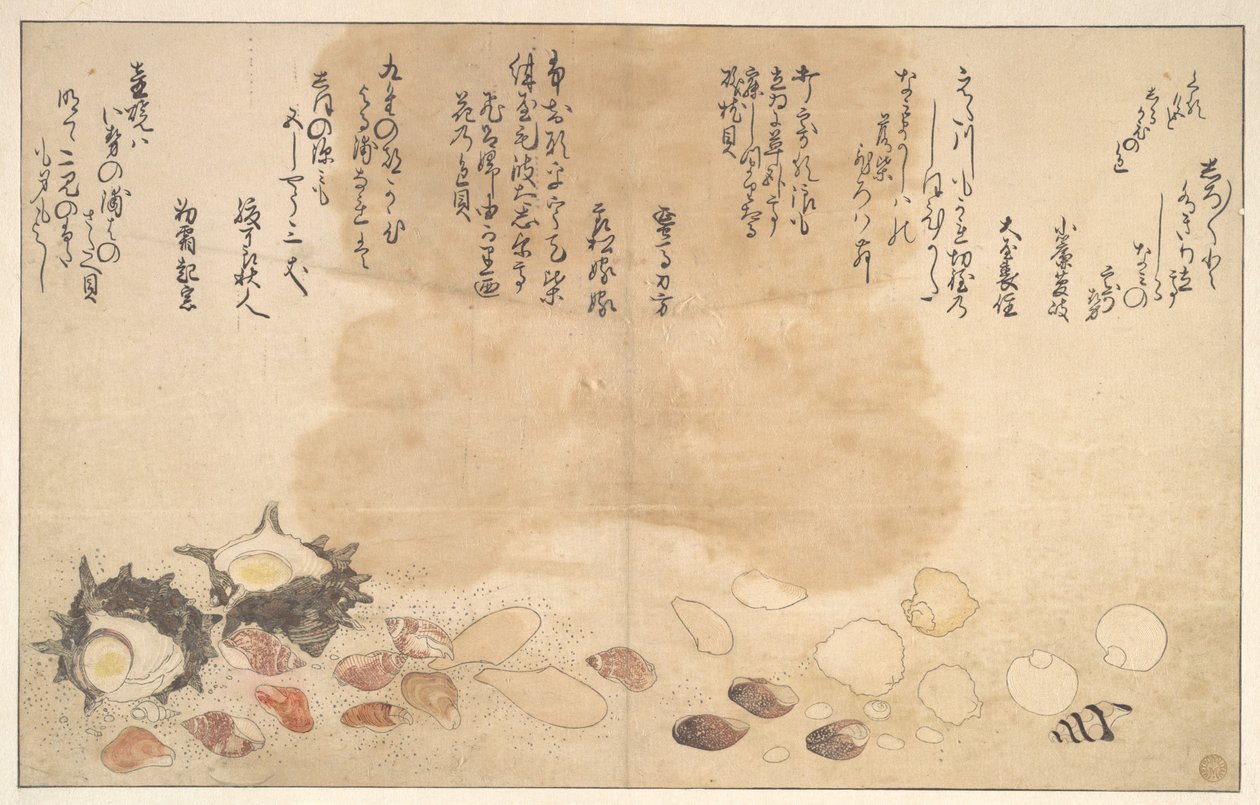 Mušle pod vodou od Kitagawa Utamaro