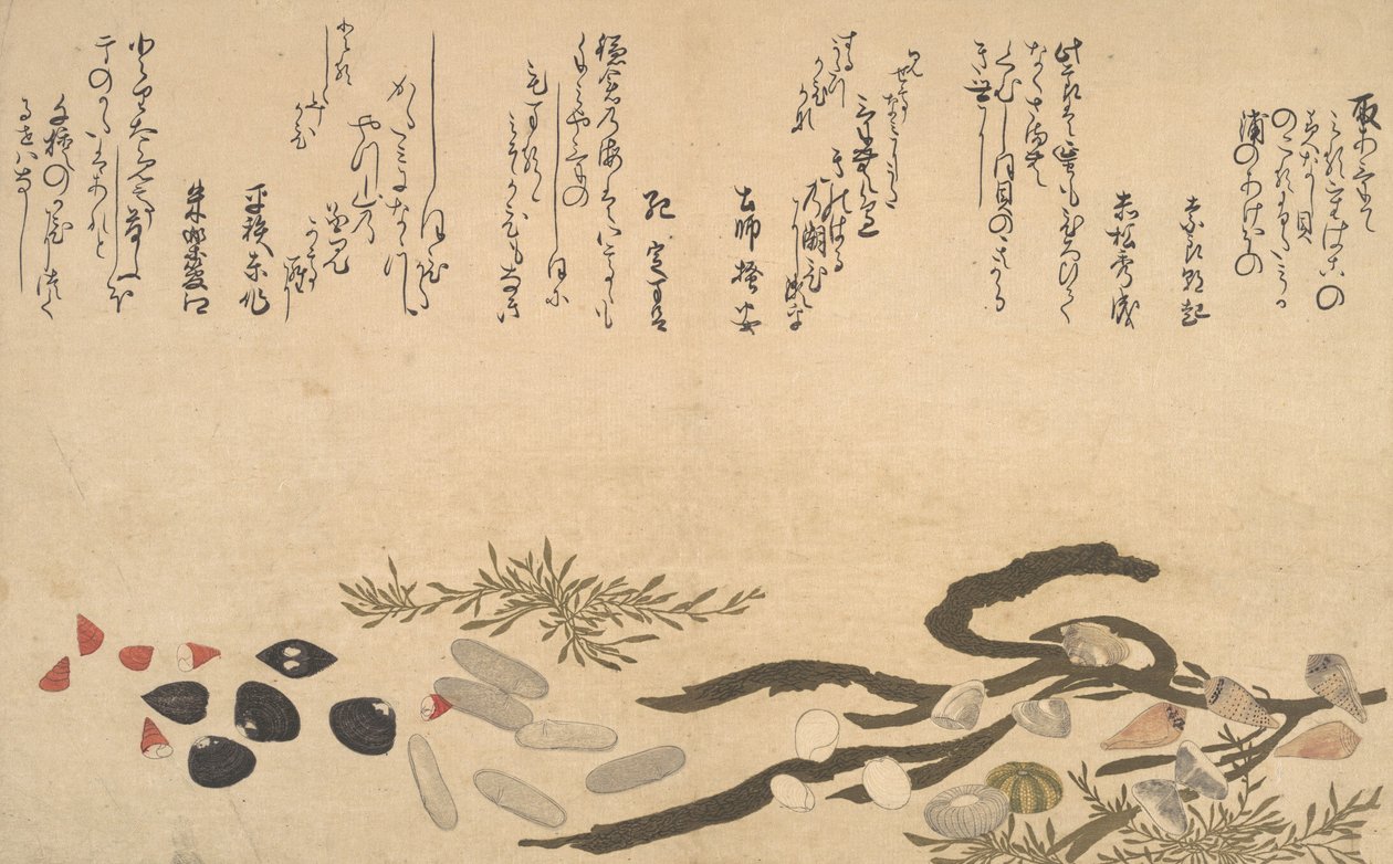 Mušle pod vodou, 1790. od Kitagawa Utamaro