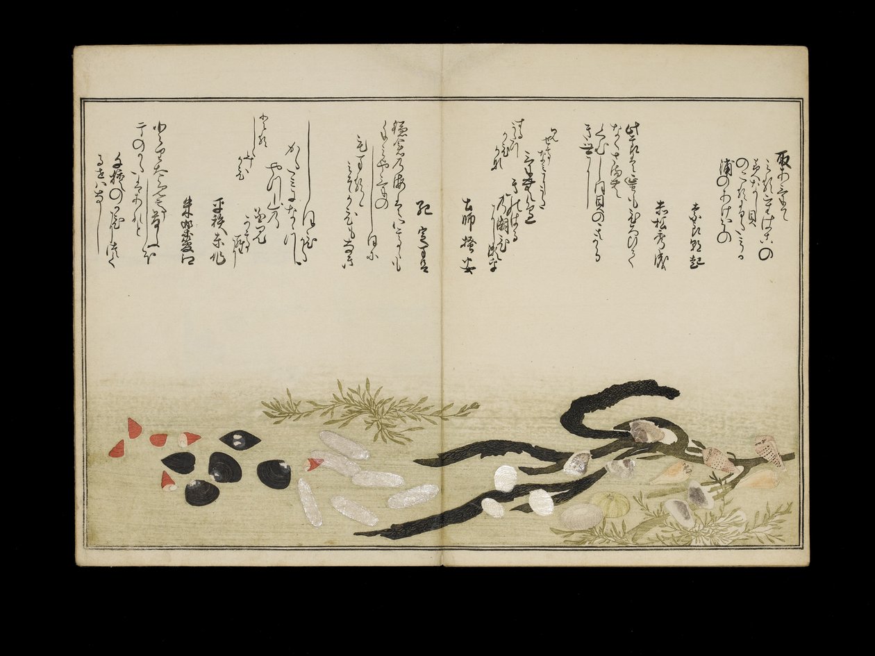 Shiohi no tsuto (Dárky z odlivu), známé jako Shell Book, 1789 (barevný dřevořez) od Kitagawa Utamaro
