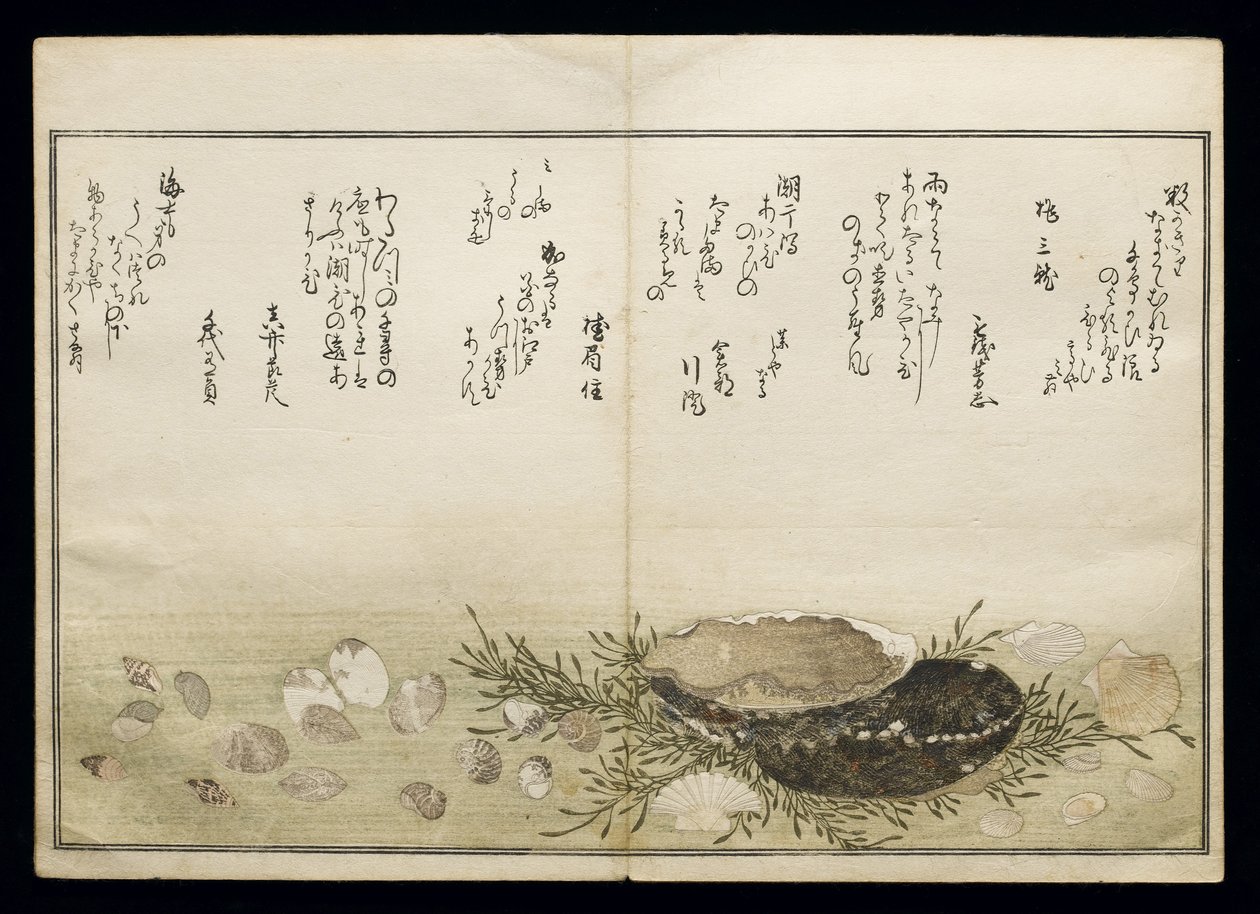 Shiohi no tsuto (Dary odlivu), známá jako Kniha mušlí, 1789 (barevný dřevoryt) od Kitagawa Utamaro