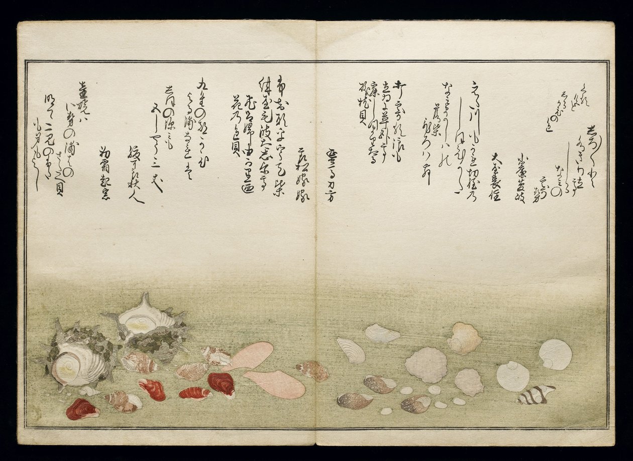 Shiohi no tsuto (Dary odlivu), známá jako Kniha mušlí, 1789 (barevný dřevoryt) od Kitagawa Utamaro