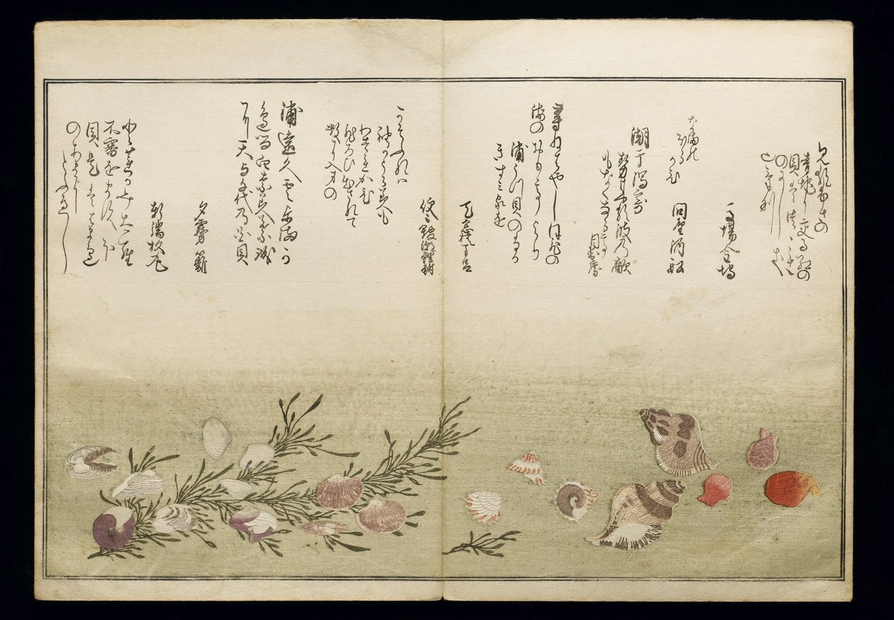 Shiohi no tsuto (Dary odlivu), známá jako Kniha mušlí, 1789 (barevný dřevoryt) od Kitagawa Utamaro