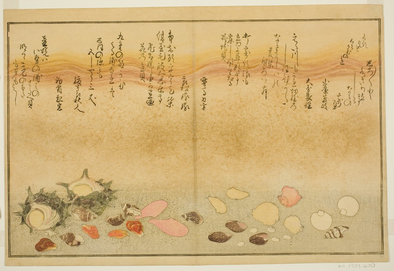 Shirato, Margashiwa, Maclar Street, Yellow Street, Other Street, Sadaegai, z tee st latte d book o k ``Technique fts from tee b on the ground (tide bracts)
