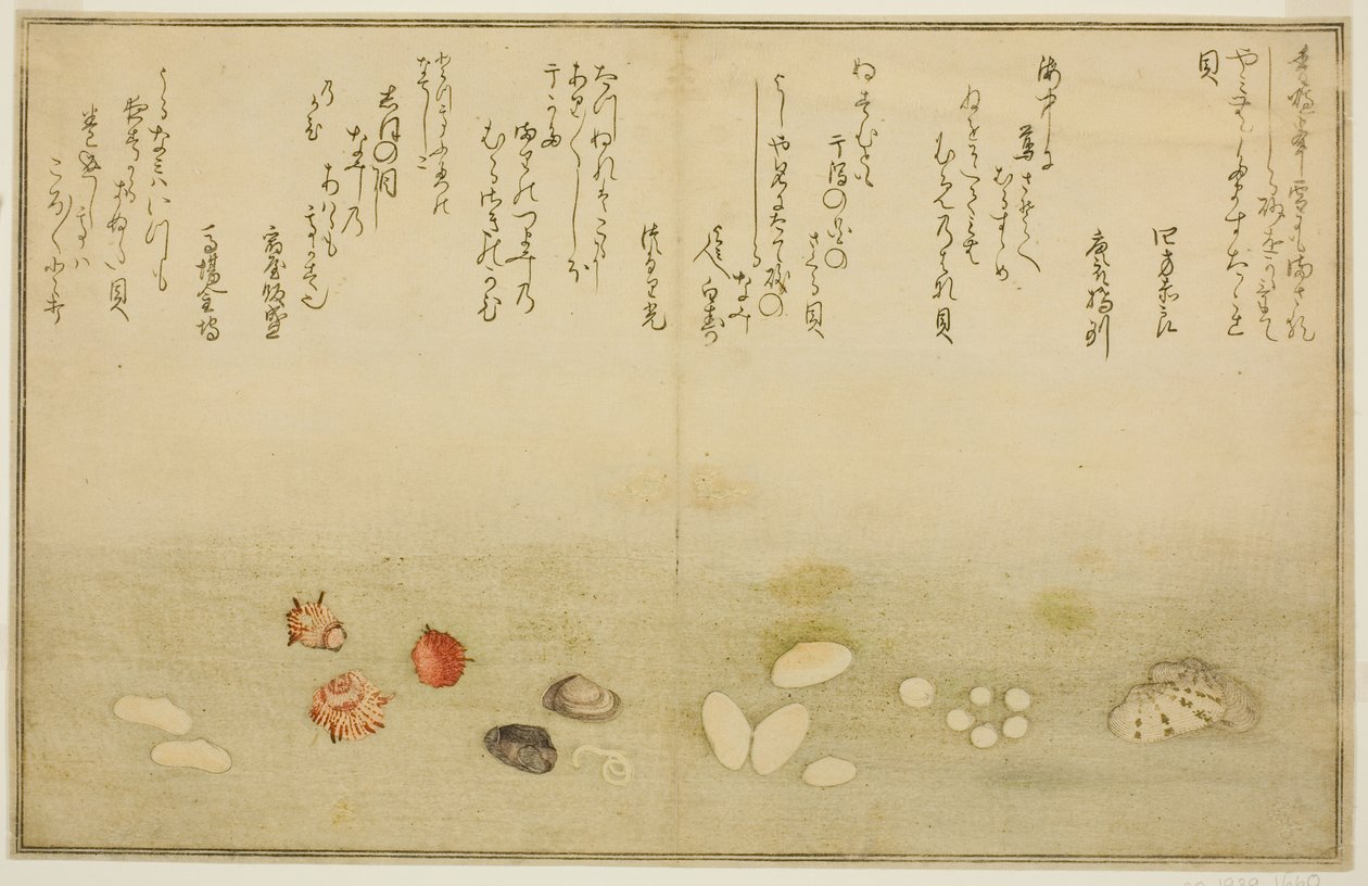 Sudare venku, město Hana, venku Sakura, Mume no gai, Nadeshiko venku, Kinuta venku, (Bacty of the time)“ od Kitagawa Utamaro