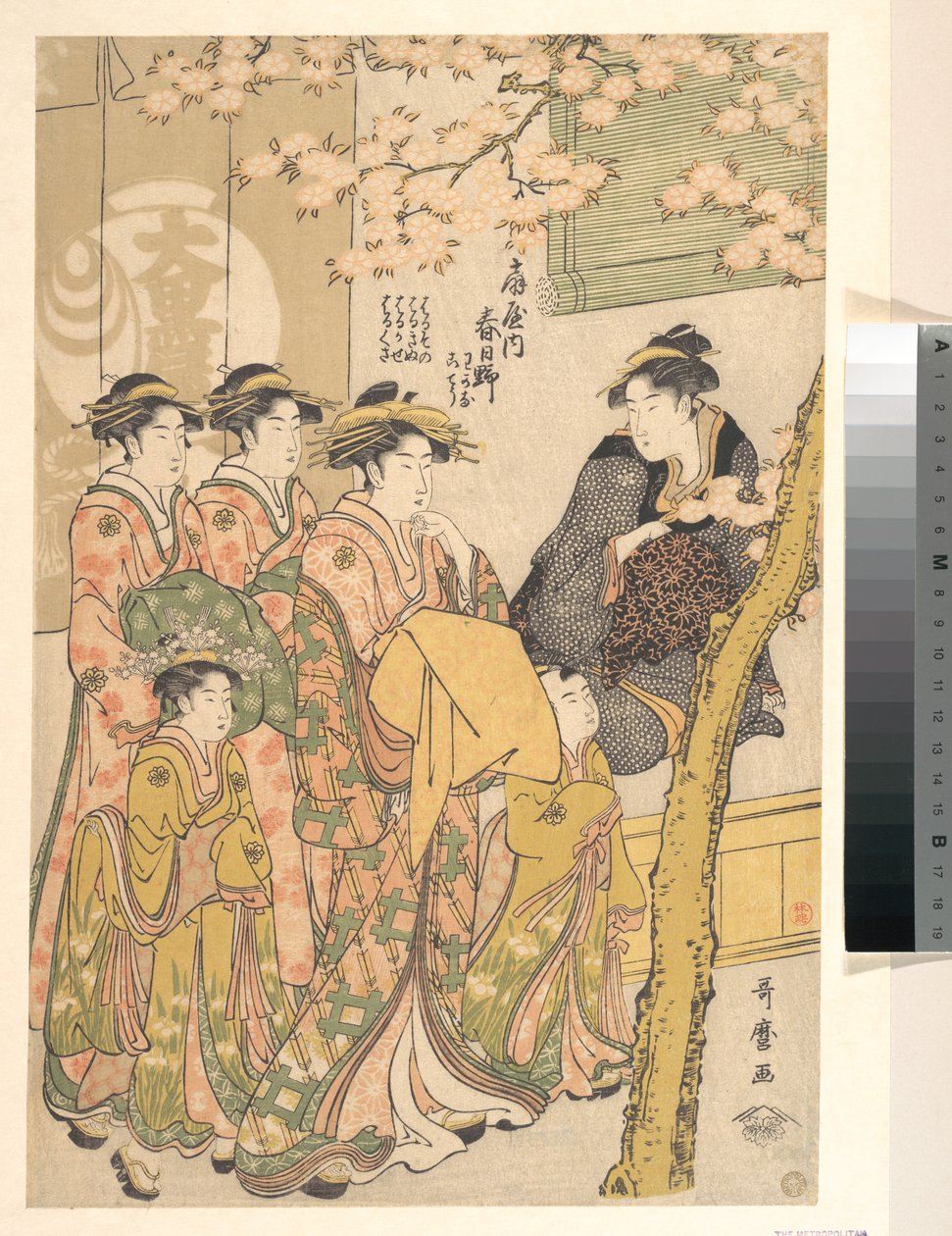 Oiran Kasugano z Ogiya na přehlídce pod rozkvetlými třešňovými stromy od Kitagawa Utamaro