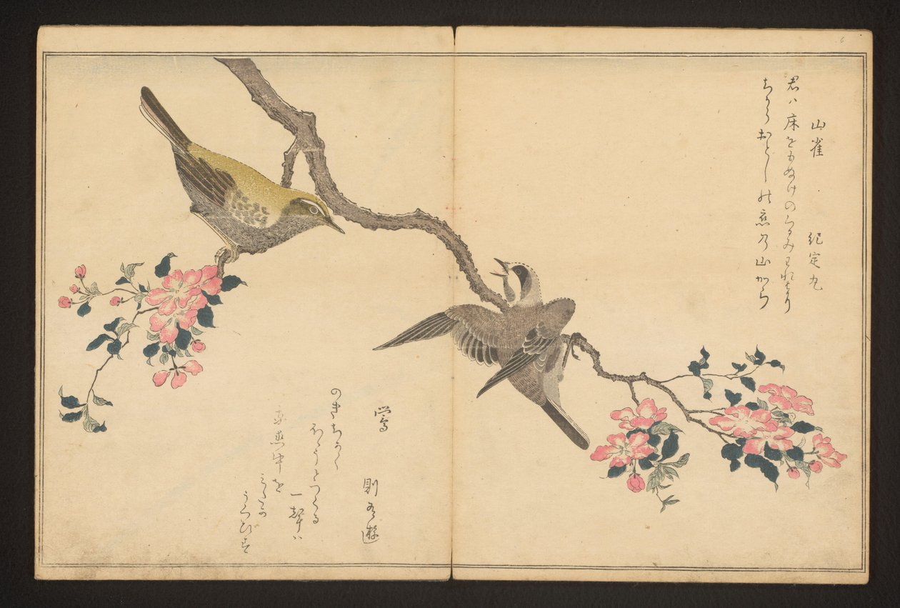 Sýkora a pěnice od Kitagawa Utamaro