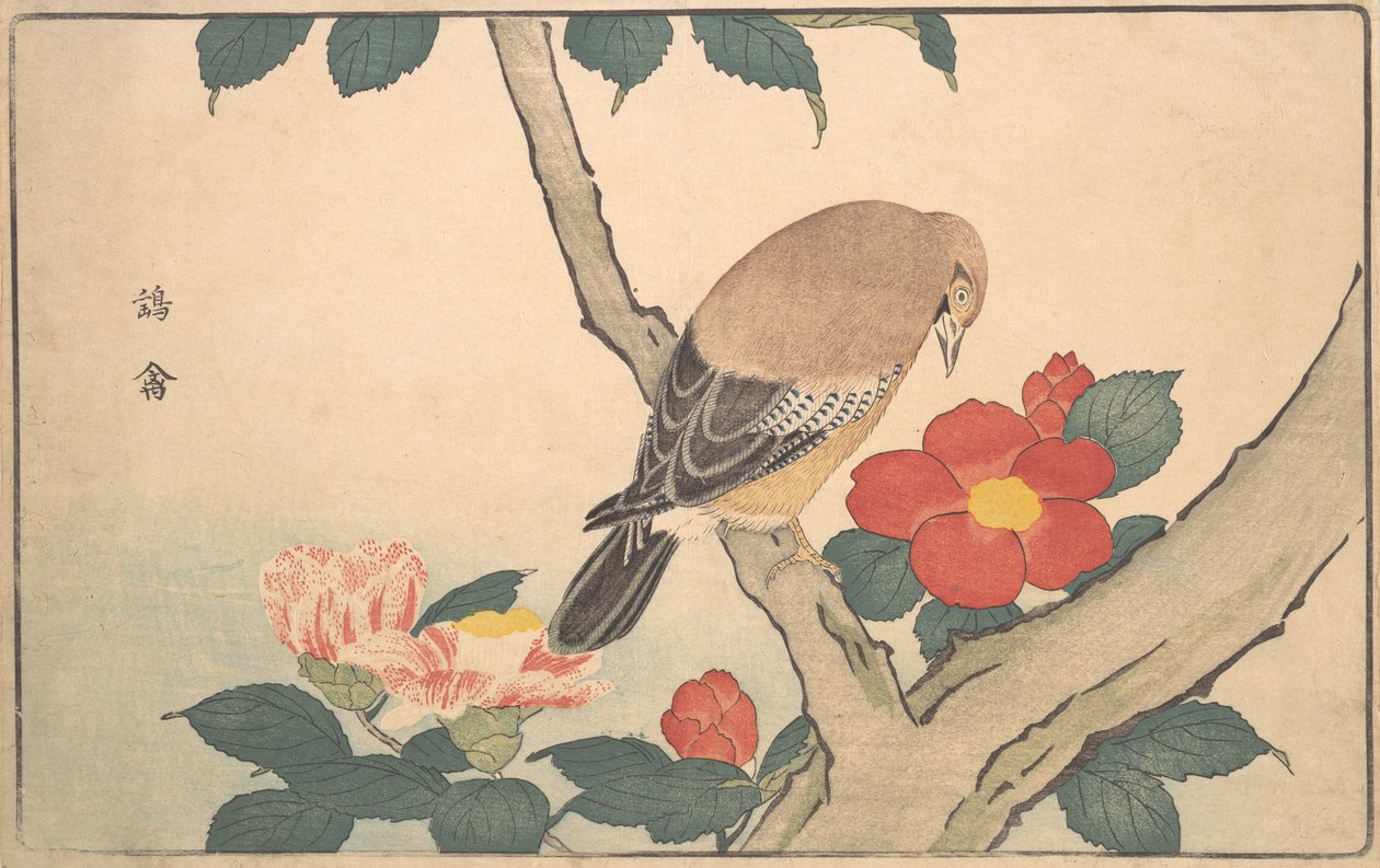 Kamélie s ptákem, 1789. od Kitao Masayoshi