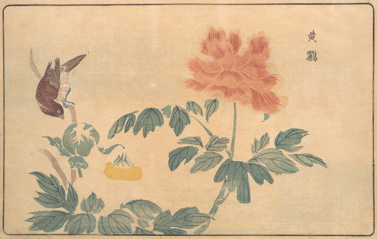 Čínská žluva a pivoňky, 1789. od Kitao Masayoshi