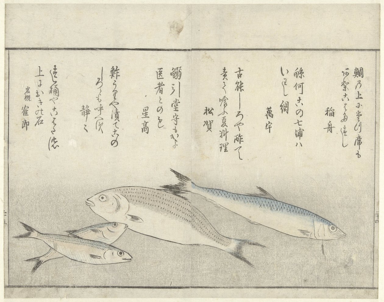 Čtyři ryby od Kitao Masayoshi