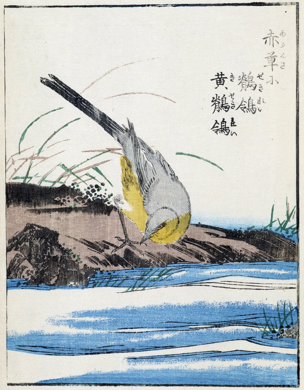 Pták. Japonská kresba Kitao Kosuisai od Kitao Shigemasa