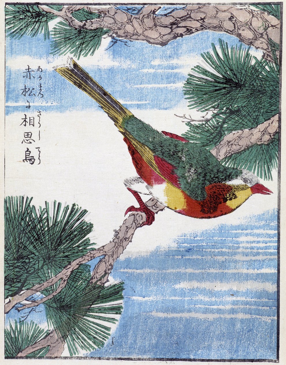 Pták na stromě. Japonská kresba Kitao Kosuisai od Kitao Shigemasa