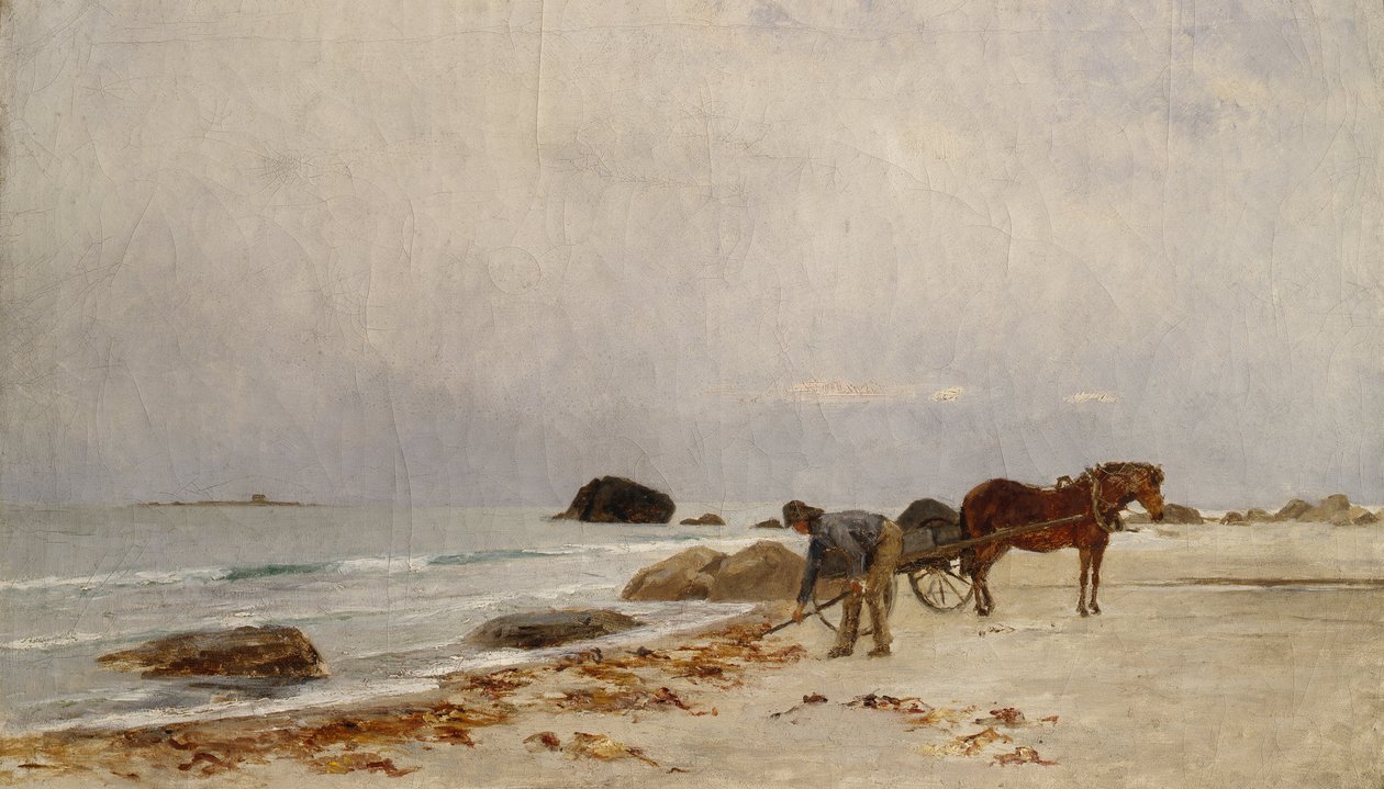 Řízení mořské řasy (malba) od Kitty Lange Kielland