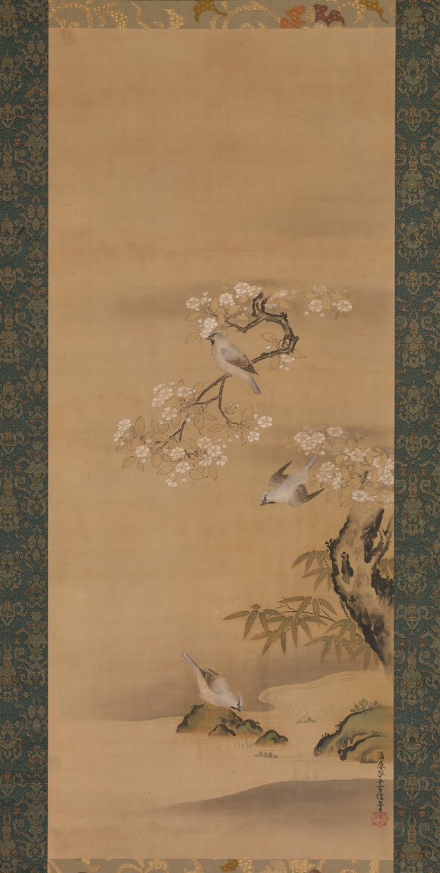 Waxwings, Cherry Blossoms, and Bamboo, pozdní 17. století. od Kiyohara Yukinobu