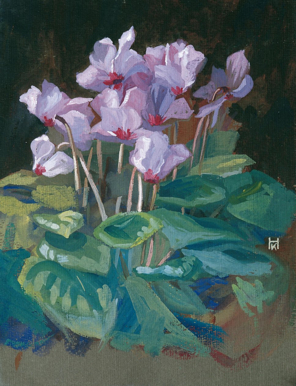 Cyclamen od Klara Hasslwander