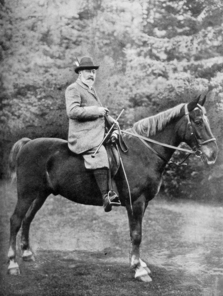 Král Edward VII na koni do úkrytů v Sandringham, Norfolk, c1902-c1910 1910 od Knights Whittome