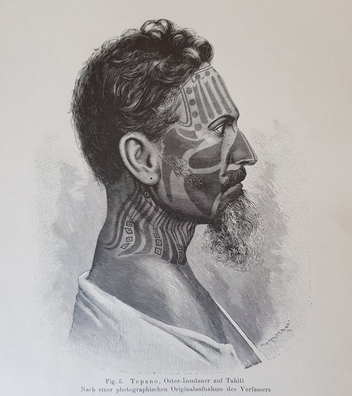 Juan Tepano, ilustrace z „Über die Tätowirung der Oster-Insulaner“, Hjalmar Stolpe, 1899 od Knut Hjalmar Stolpe