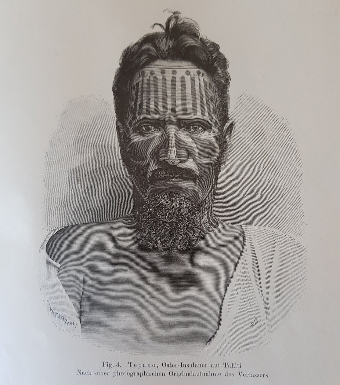 Juan Tepano, ilustrace z „O tetování obyvatel Velikonočních ostrovů“, od Hjalmara Stolpeho od Knut Hjalmar (after) Stolpe