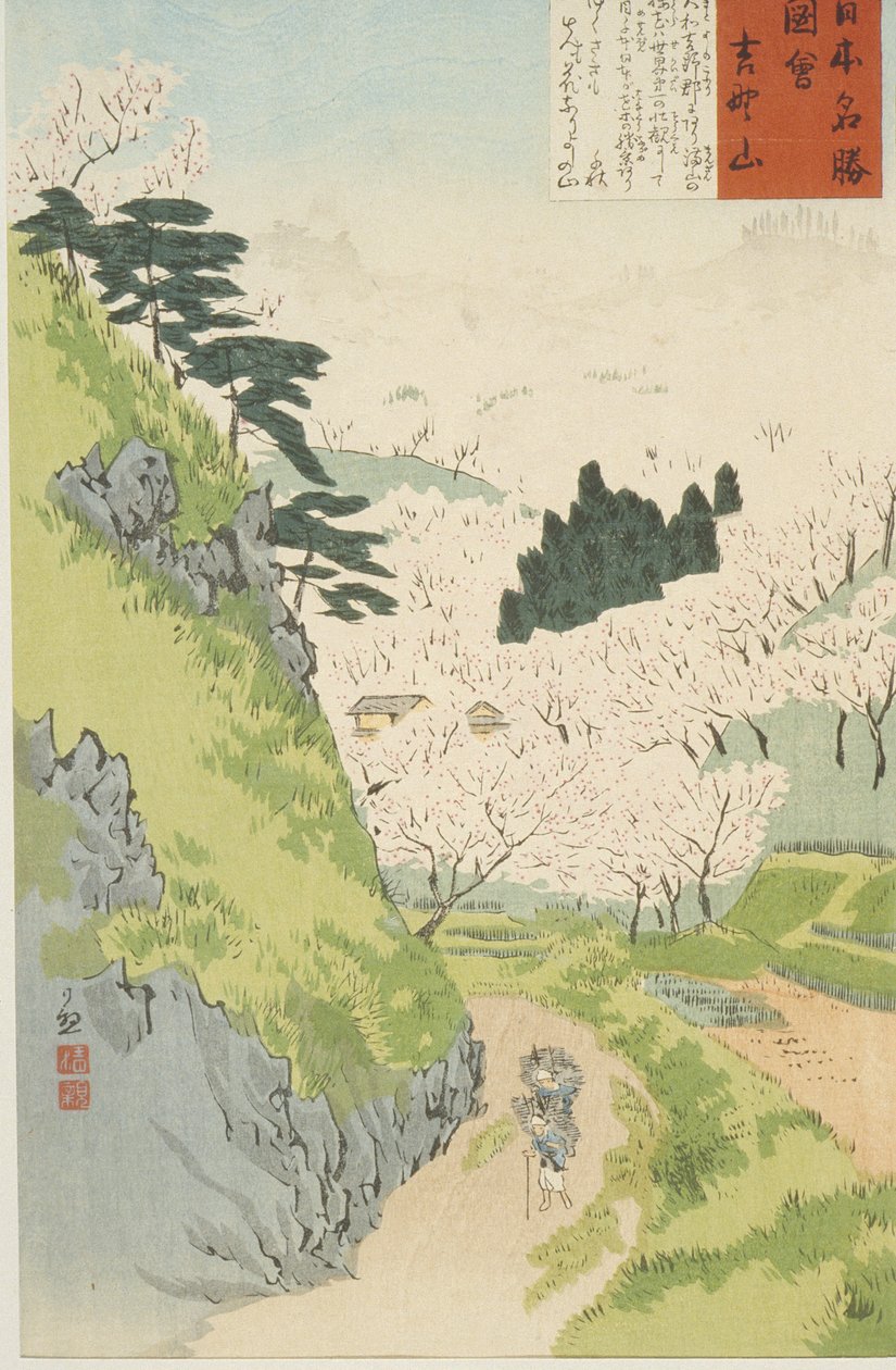 Mt. Yoshino, Cherry Blossoms nebo Yoshino yama ze Sketches of Famous Places v Japonsku, 1897 (barevný dřevotisk) od Kobayashi Kiyochika