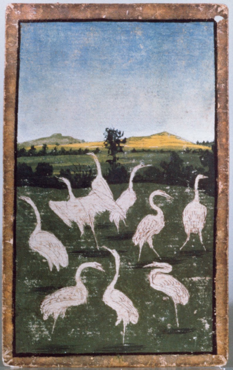 Volavky v poli, jedna ze sady hracích karet zobrazujících scény dvorského jestřábnictví, oblast Horního Porýní, kolem 1440-45 (pero a inkoust, wc) (viz také 88300-04) od Konrad Witz