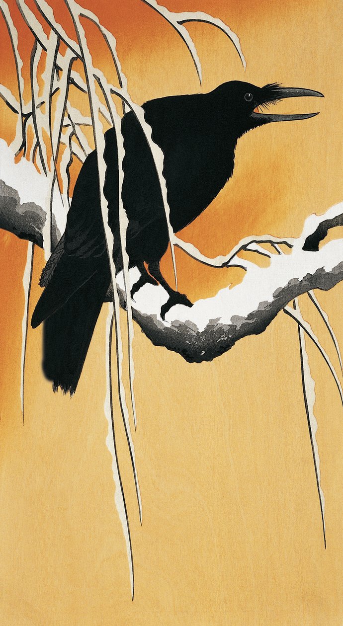 Havran sedící na větvi (Corvus corax) od Ohara Koson
