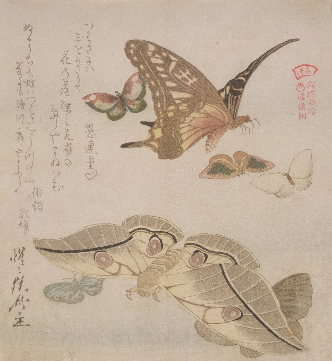 „Tsubasa ni wa...“ (první řádek básně) ze série „Ilustrovaná sbírka motýlů“, kolem 1804-18 (dřevotisk) od Kubo Shumman