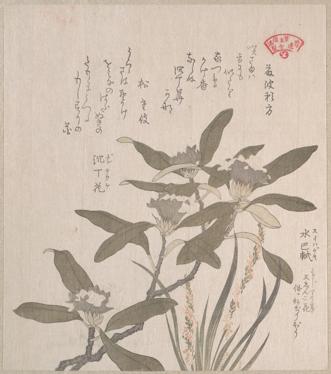 Daphne odora a Mojisuri-so od Kubo Shunman
