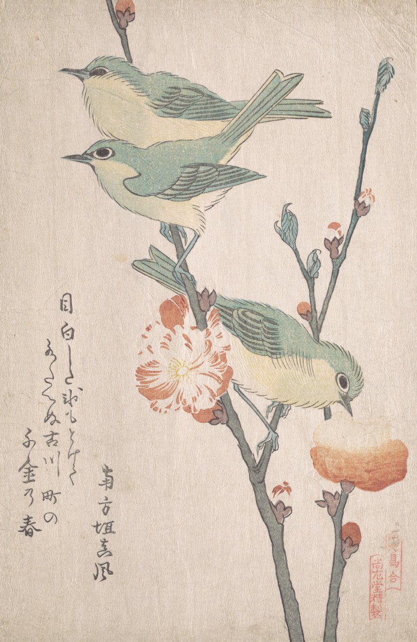 Japonští bělookí na větvi broskvoně,..., ca. 1805-10. od Kubo Shunman