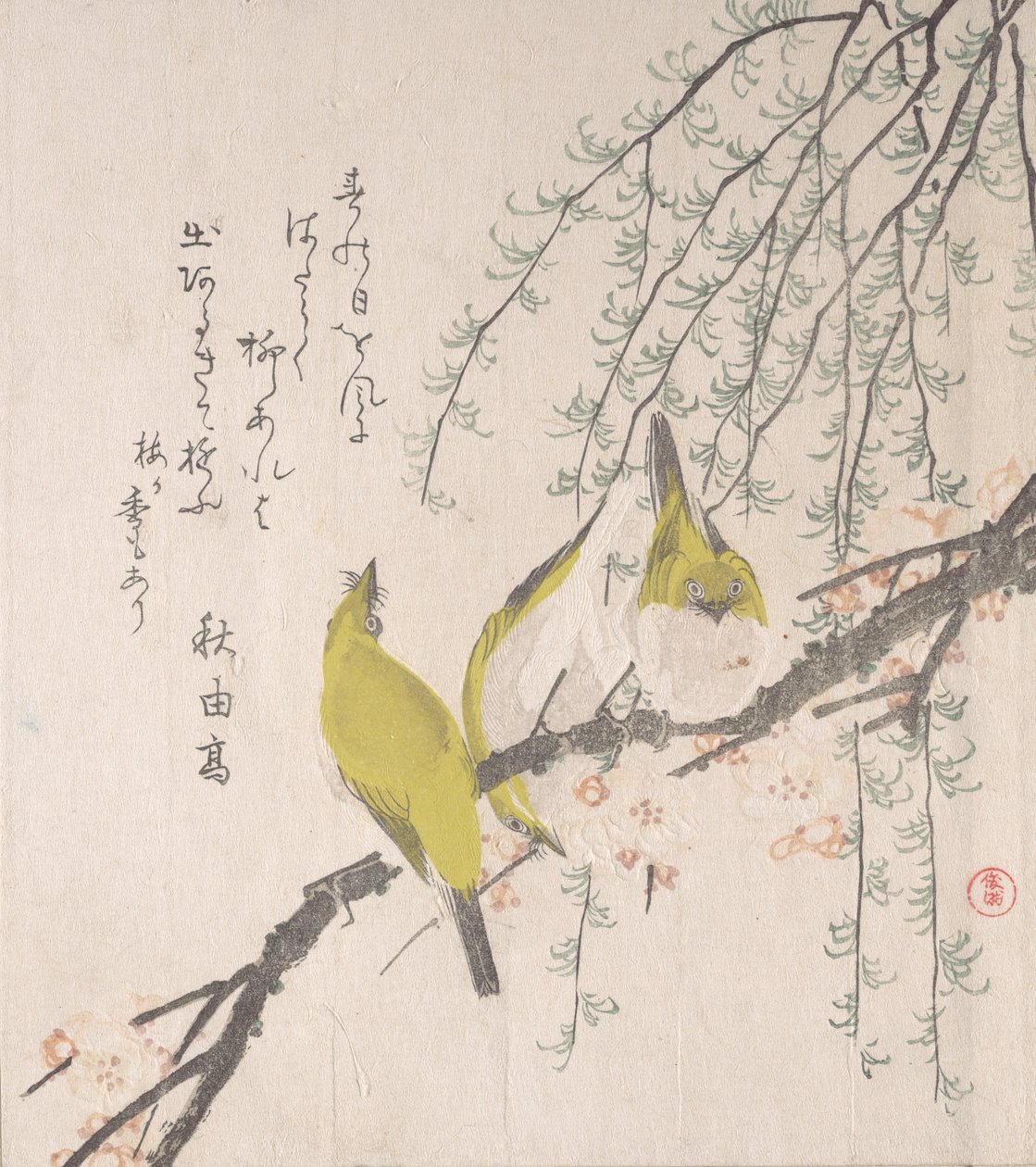 Japonští běloocí se švestkou a vrbou..., ca. 1810. od Kubo Shunman
