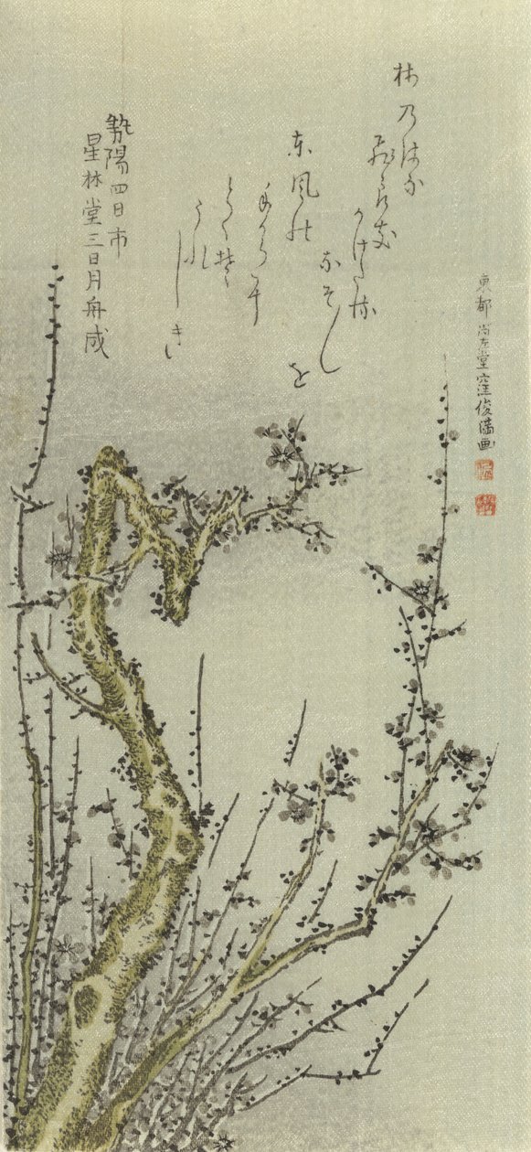 Stará švestka, 1796. od Kubo Shunman