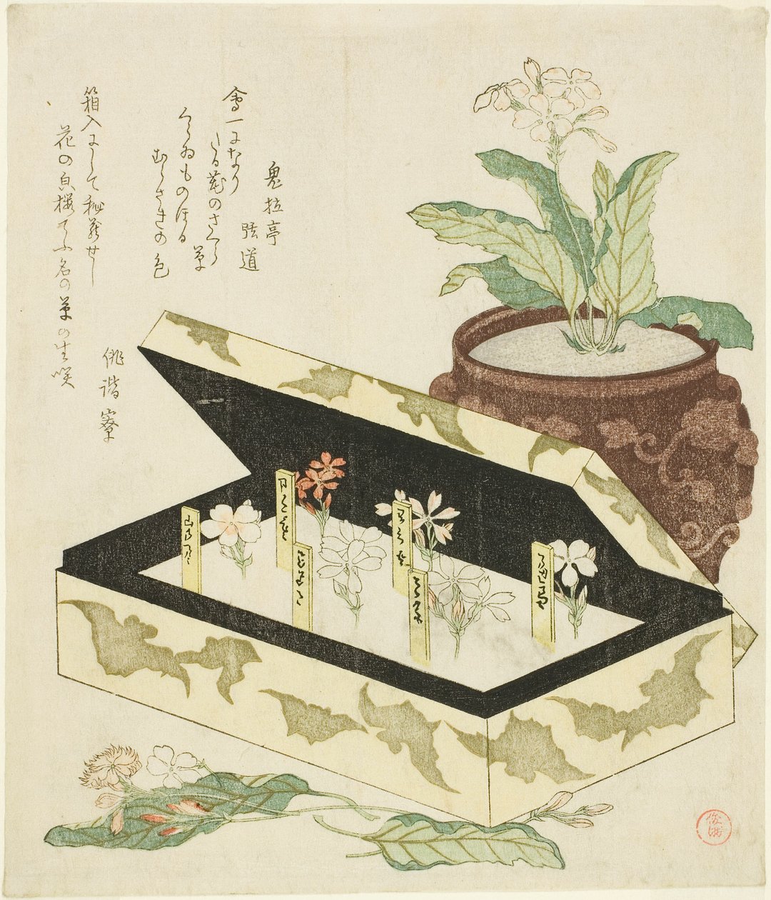 Prvosenky od Kubo Shunman