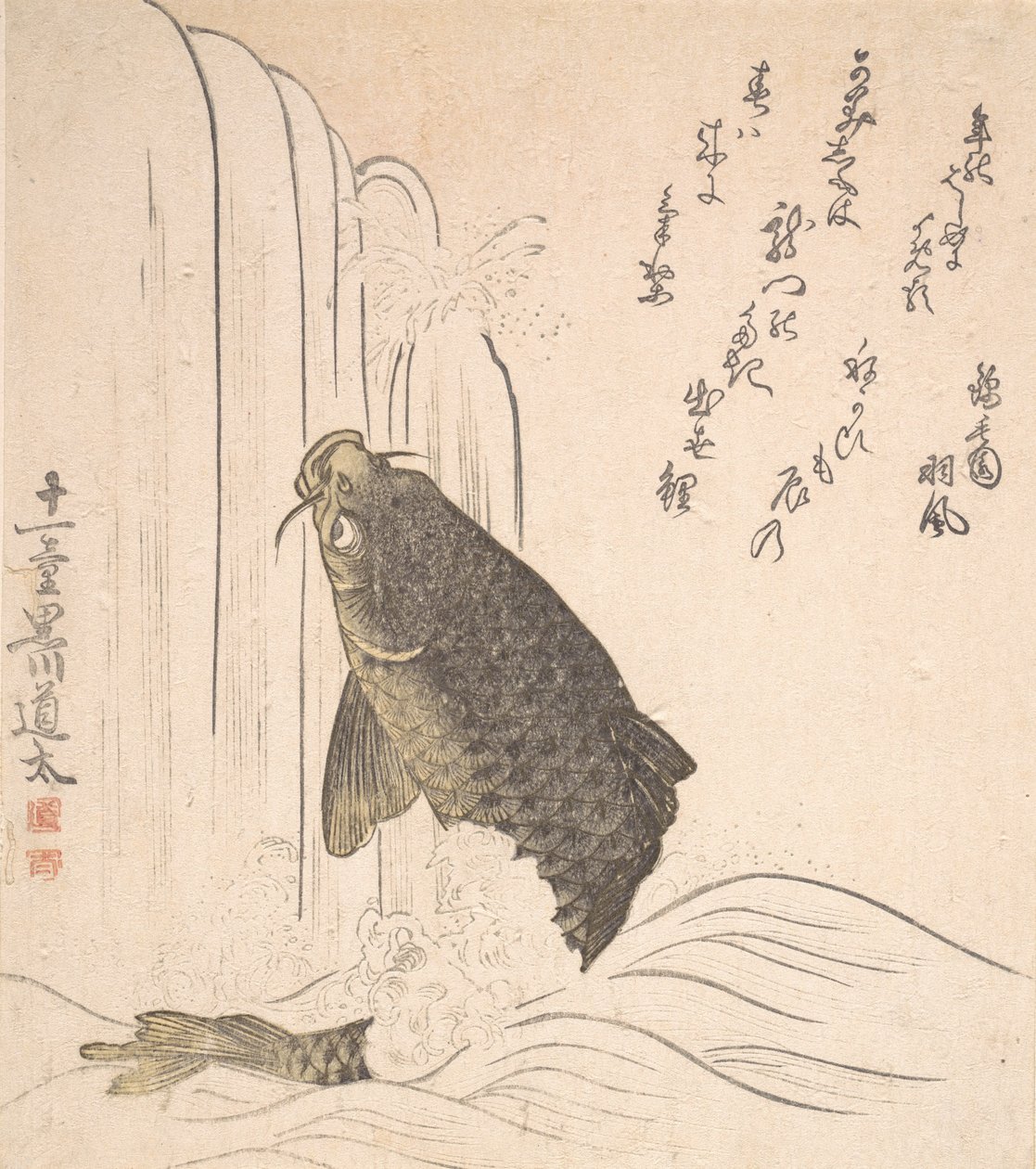 Kapr se snaží vyplavat vodopád, pravděpodobně 1820. od Kurokawa Michita