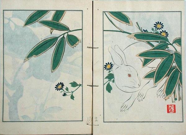 Králík, ze sbírky umělcova díla vydaného Kobyashi Bunscichi v roce 1901 (barevný dřevořez) od Kurokawa Yasusada Kigyoku