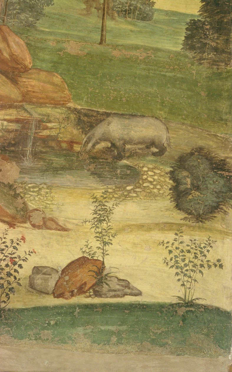 Život svatého Benedikta (detail) od L. and Sodoma, G. Signorelli