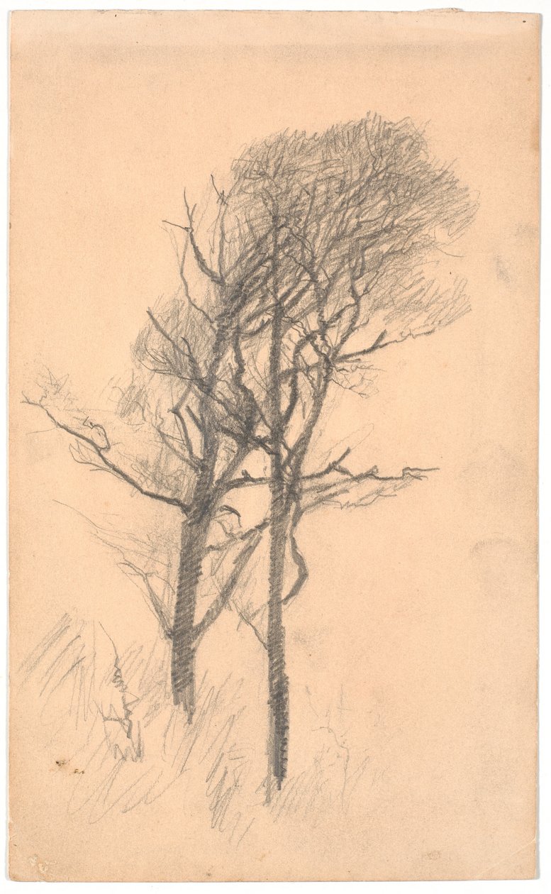 Dva stromy s nízkým podrostem od Laurits Andersen Ring