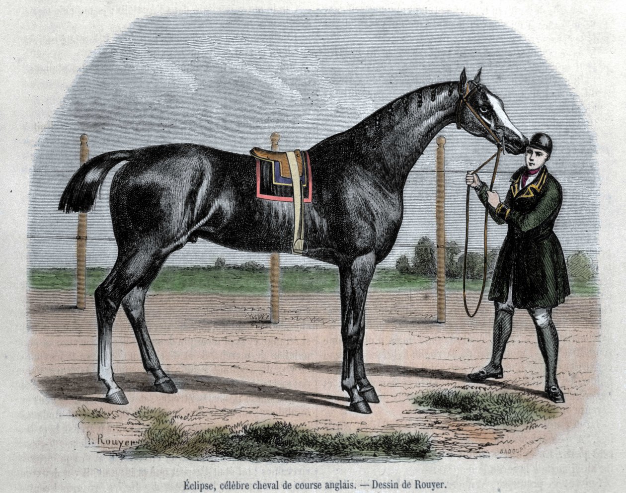 Anglický dostihový kůň Eclipse. Ilustrace Rouyer. od L. (after) Rouyer