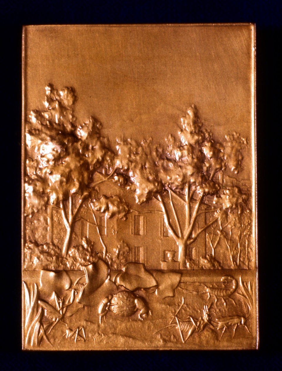 Hmyz, 1911 od L. Patriarche